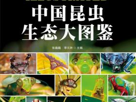 中国昆虫生态大图鉴全彩版pdf