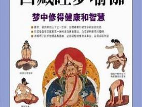 图解西藏睡梦瑜伽：梦中修得健康和智慧pdf下载