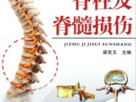 脊柱及脊髓损伤pdf