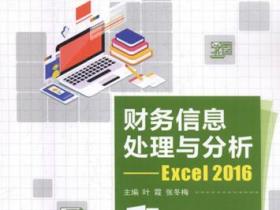 财务信息处理与分析 Excel 2016pdf