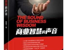 商业智慧的声音[The Sound of Business Wisdom]pdf