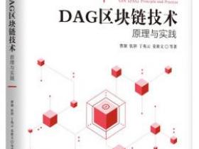 DAG区块链技术 原理与实践pdf