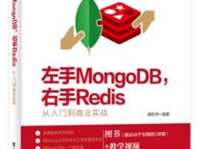 左手MongoDB 右手Redis 从入门到商业实战pdf