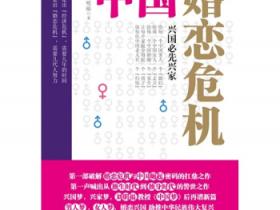 中国婚恋危机pdf