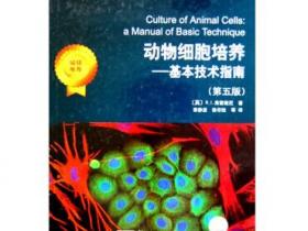 动物细胞培养 基本技术指南（第五版）pdf