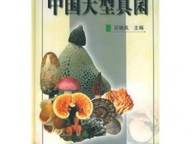 中国大型真菌pdf