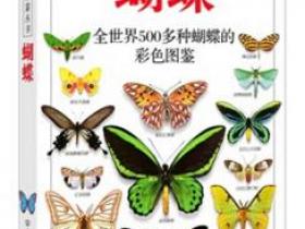 蝴蝶 全世界500多种蝴蝶的彩色图鉴pdf