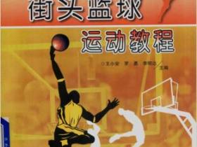 街头篮球运动教程pdf