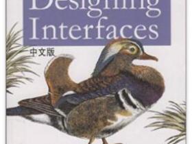 Designing Interfaces中文版pdf