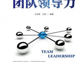 团队领导力pdf