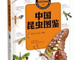 中国之美 自然生态图鉴 中国昆虫图鉴pdf