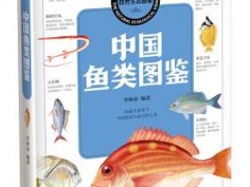 中国之美 自然生态图鉴 中国鱼类图鉴pdf