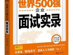 世界500强企业面试实录pdf