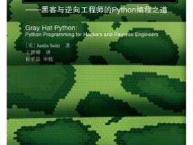 Python灰帽子 黑客与逆向工程师的Python编程之道pdf