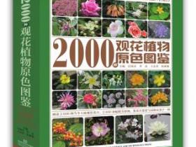 2000种观花植物原色图鉴epub