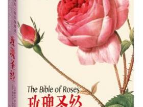 玫瑰圣经[The Bible of Roses]epub