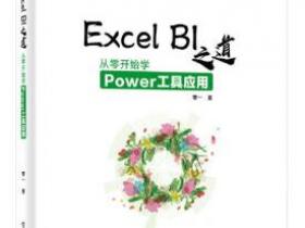 Excel BI 之道 从零开始学Power工具应用pdf