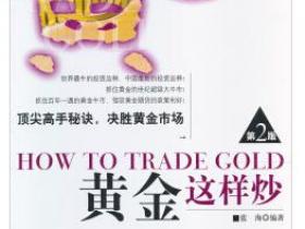 黄金这样炒（第2版）[How to Trade Gold]pdf