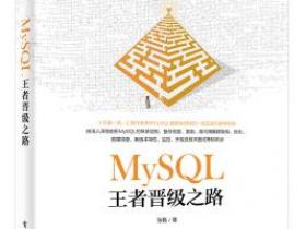 MySQL王者晋级之路pdf