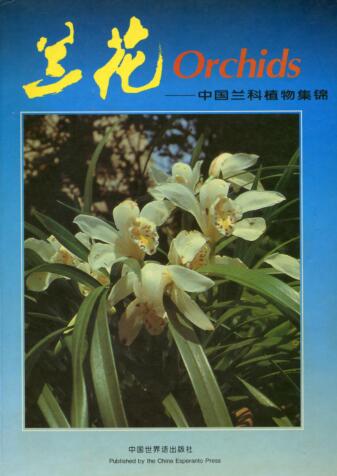 图书网：兰花 中国兰科植物集锦pdf