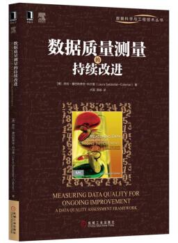 图书网：数据质量测量的持续改进pdf