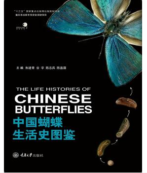 图书网：中国蝴蝶生活史图鉴pdf